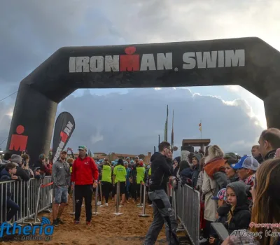 pet-kot-ironman-19_121