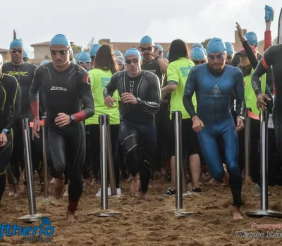 pet-kot-ironman-19_123