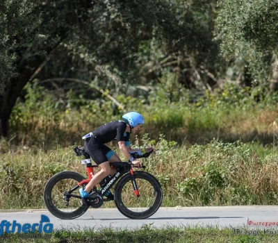 pet-kot-ironman-19_218