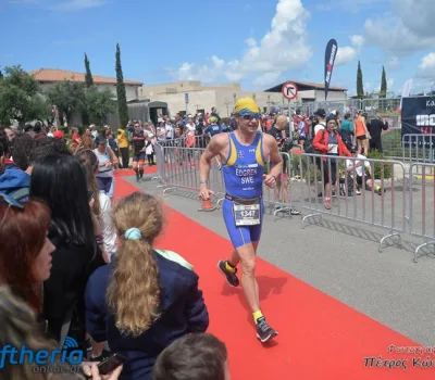 pet-kot-ironman-19_246