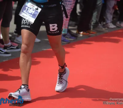 pet-kot-ironman-19_249