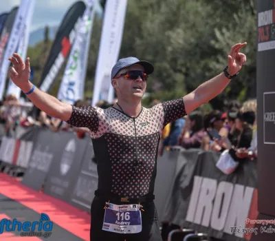 pet-kot-ironman-19_290
