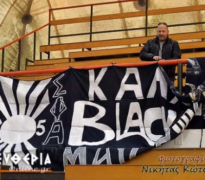 NIK_6564