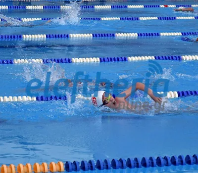 nk5_5445_result