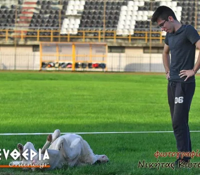NIK_8699