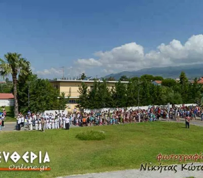 nik_217