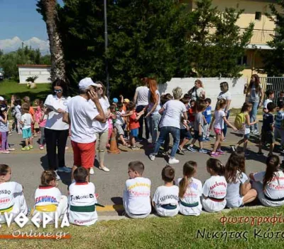 nik_223
