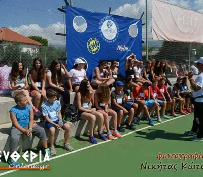 nik_231