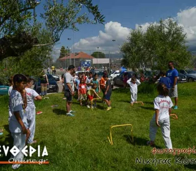 nik_263
