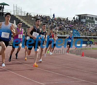 nk5_1736_result