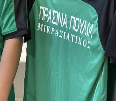 prasina 4