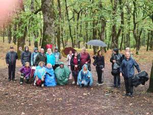 Πεζοπορία στο δάσος της Φολόης ο Σύλλογος Αθλούμενων Μεσσήνης