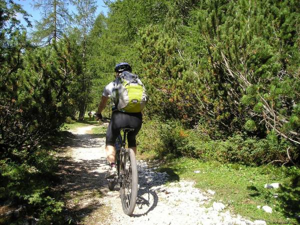 Τμήμα ποδηλάτου βουνού δημιουργεί ο Ίκαρος Καλαμάτας