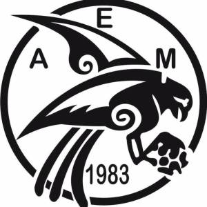 ΑΕ ΜΑΝΗΣ: Συγκροτήθηκε σε σώμα το νέο Δ.Σ. – Κατανομή αρμοδιοτήτων