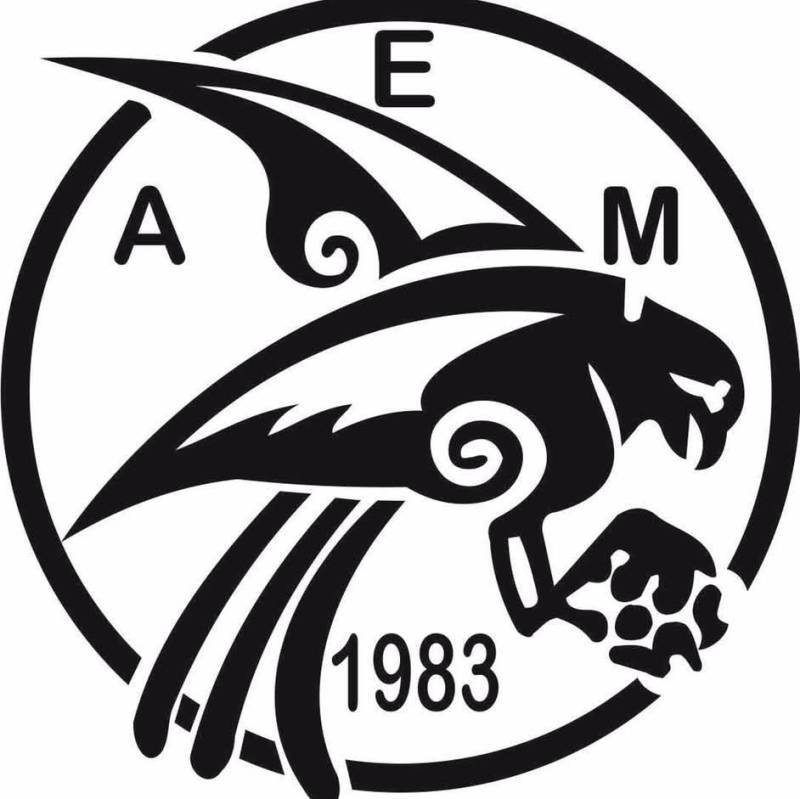 ΑΕ ΜΑΝΗΣ: Συγκροτήθηκε σε σώμα το νέο Δ.Σ. – Κατανομή αρμοδιοτήτων