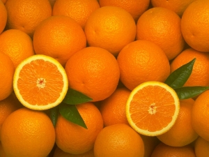 Πορτοκάλια για πριμ στην Αναγέννηση!