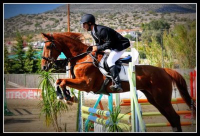Θετική παρουσία του Ιππικού Ομίλου Καλαμάτας στο Κύπελλο Νότιας Πελοποννήσου