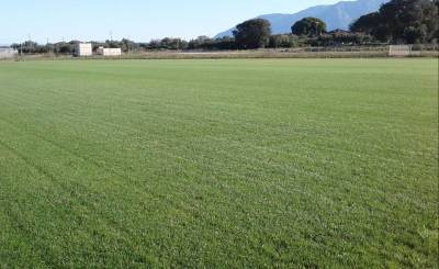 Ποδοσφαιρικό τουρνουά αλληλεγγύης στην Τριφυλία