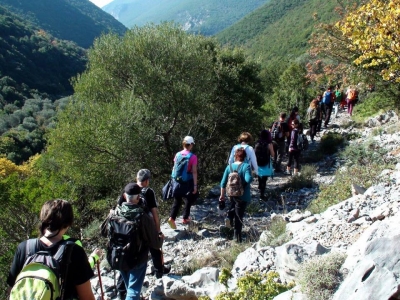 ΕΥΚΛΗΣ ΚΑΛΑΜΑΤΑΣ: Πεζοπορία στην Αρκαδία