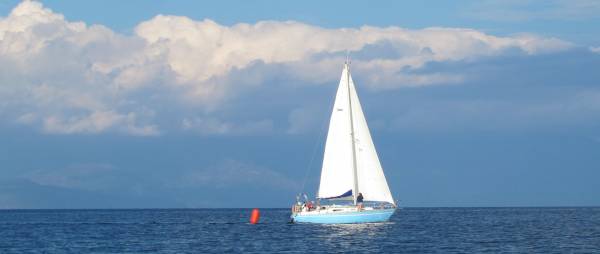 ΙΣΤΙΟΠΛΟΪΑ - ΝΟΚ: Οι νικητές στη διημερίδα ανοιχτής θαλάσσης στη μνήμη Εμμανουηλίδη