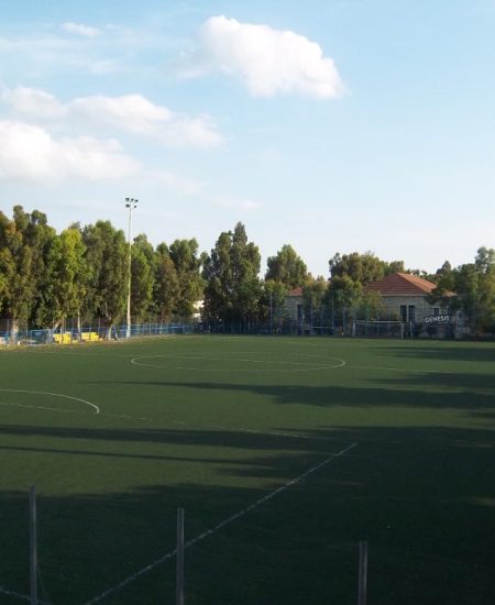 Τρεις ομάδες ταυτόχρονα για προπόνηση στο «Παναγιώτης Μπαχράμης»! (φώτο)